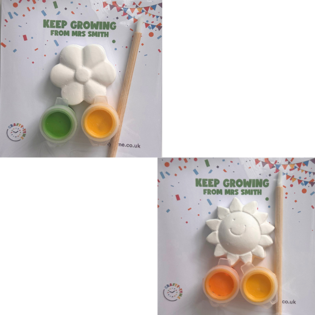 Keep Growing Kit - Assorted