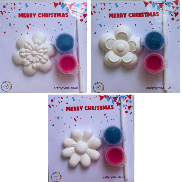 Christmas Daisy Paint Kit - Assorted