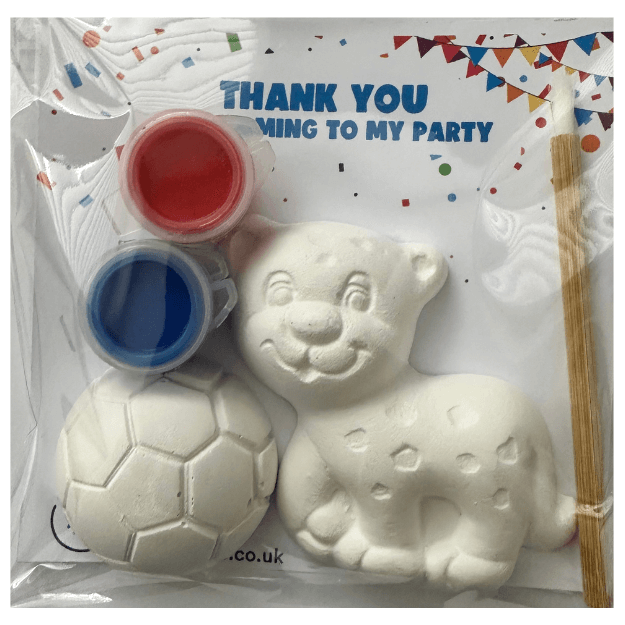 England Lioness Party Bag